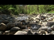 Dog Stream 1 923
